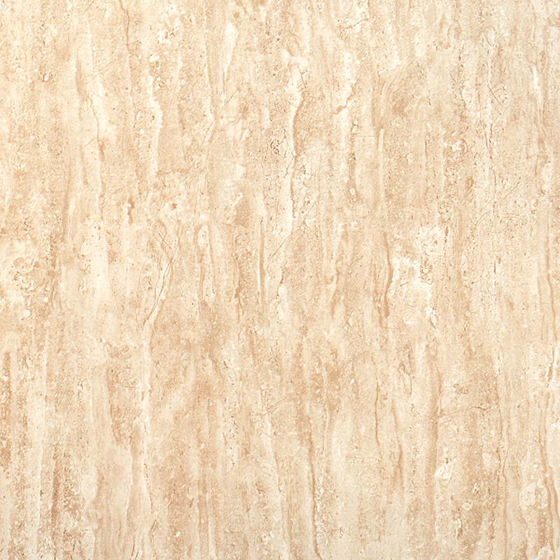 Matte Finish FT Andes Brown Ceramic tile 600x600 mm