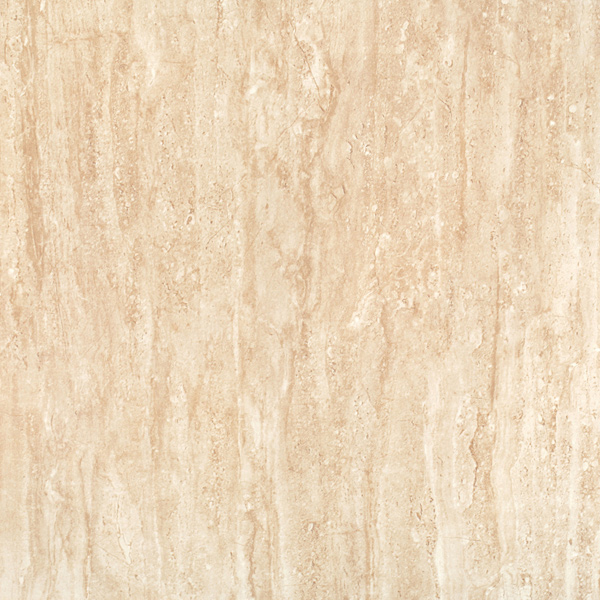 Matte Finish FT Andes Brown Ceramic tile 600x600 mm