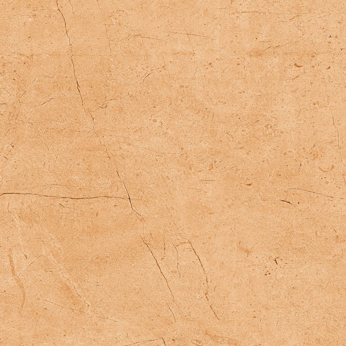 BDF Desert Marble Beige FT