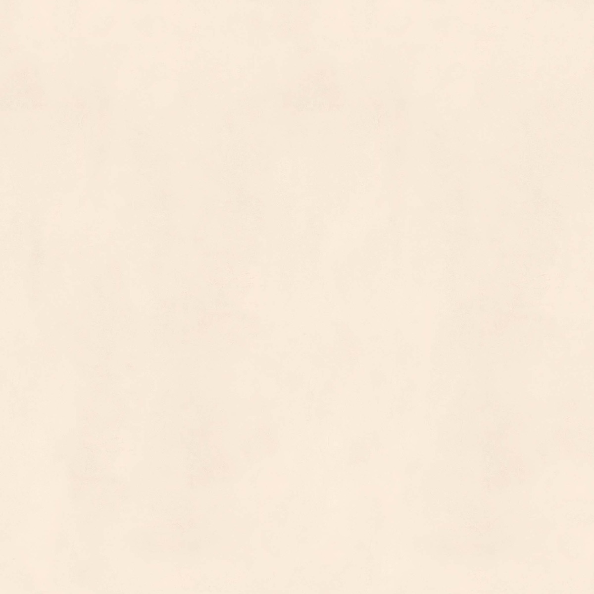 Matte Finish BDF Smoky Creama FT Ceramic tile 600x600 mm