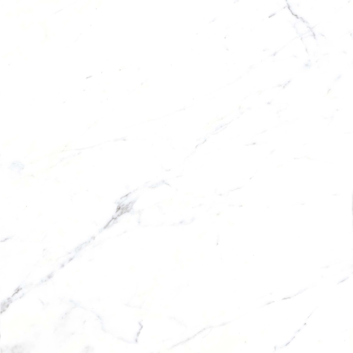 Matte Finish BDF Statuario Marble FT Ceramic tile 600x600 mm