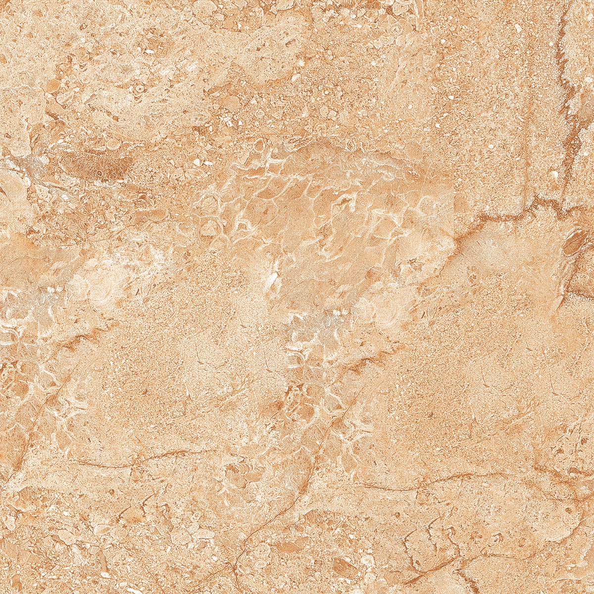 BDM Breccia Marble Brown