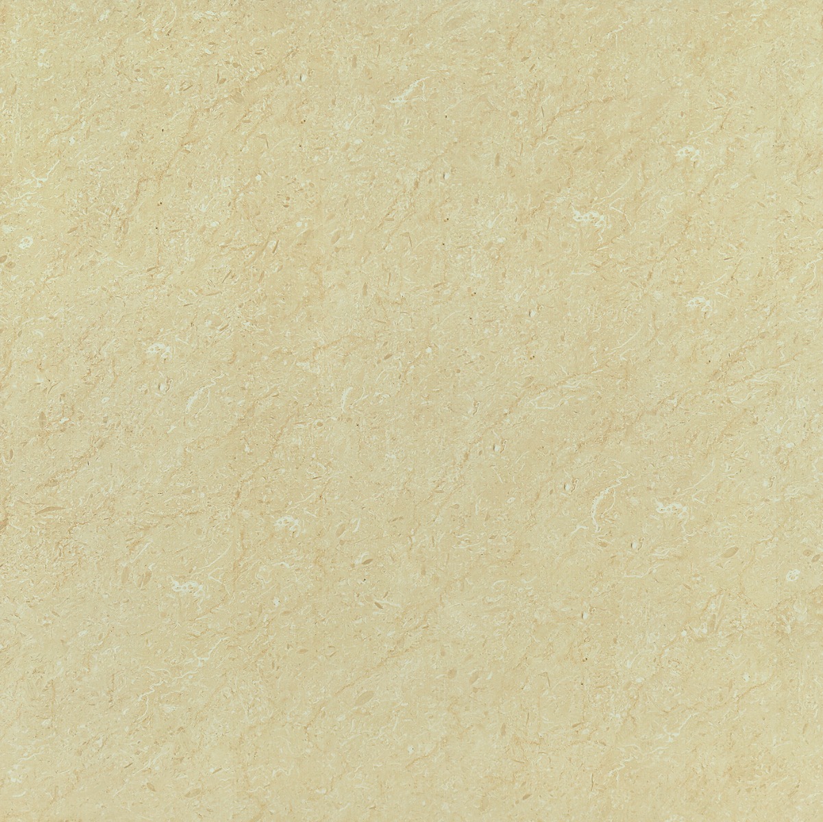 Matte Finish GFT BDM Franjo Ivory FT  Ceramic tile 600x600 mm