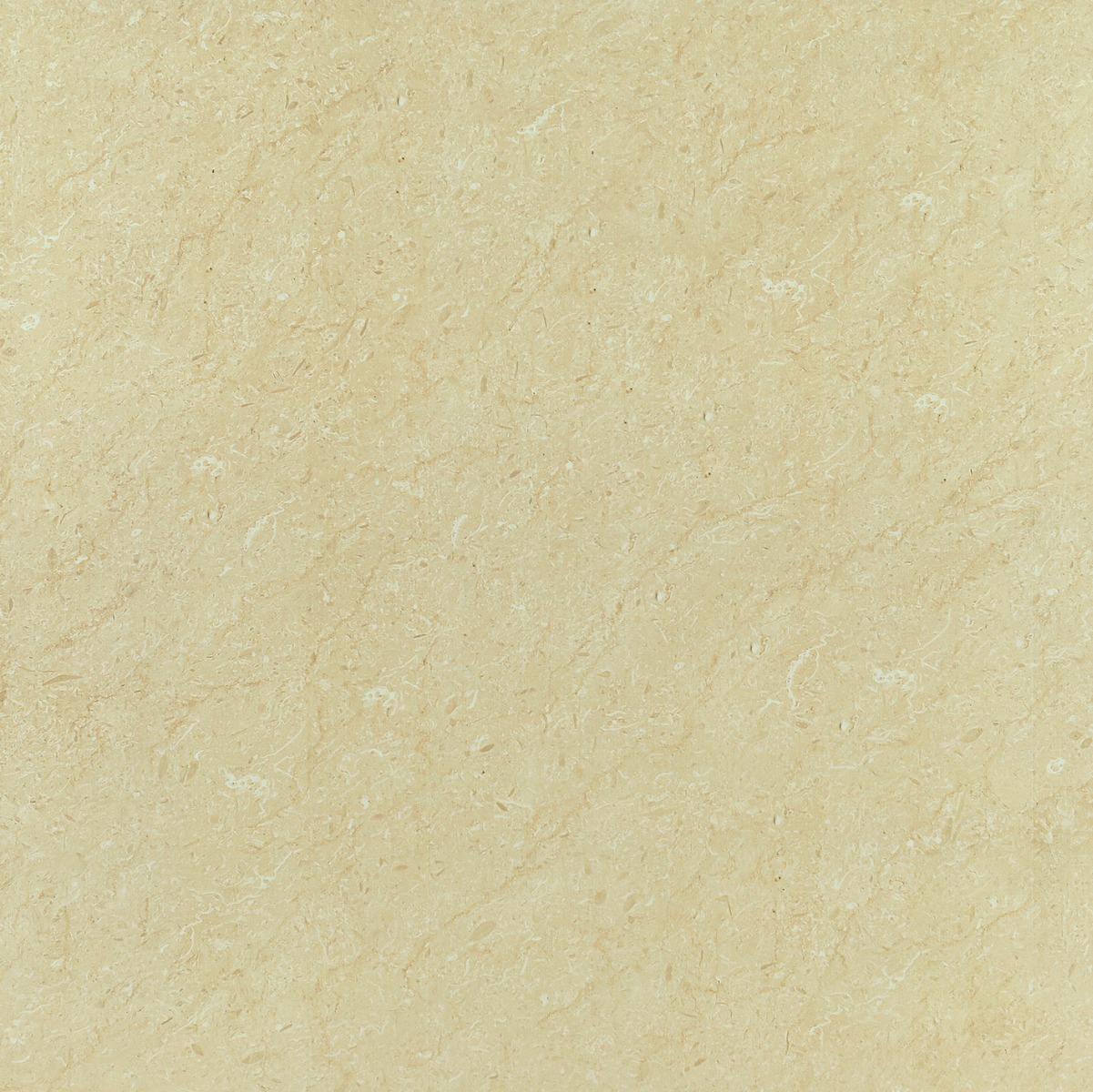 Matte Finish GFT BDM Franjo Ivory FT  Ceramic tile 600x600 mm