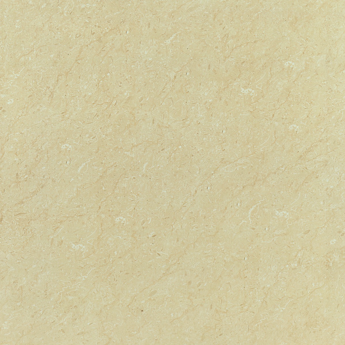 GFT BDM Franjo Ivory FT 