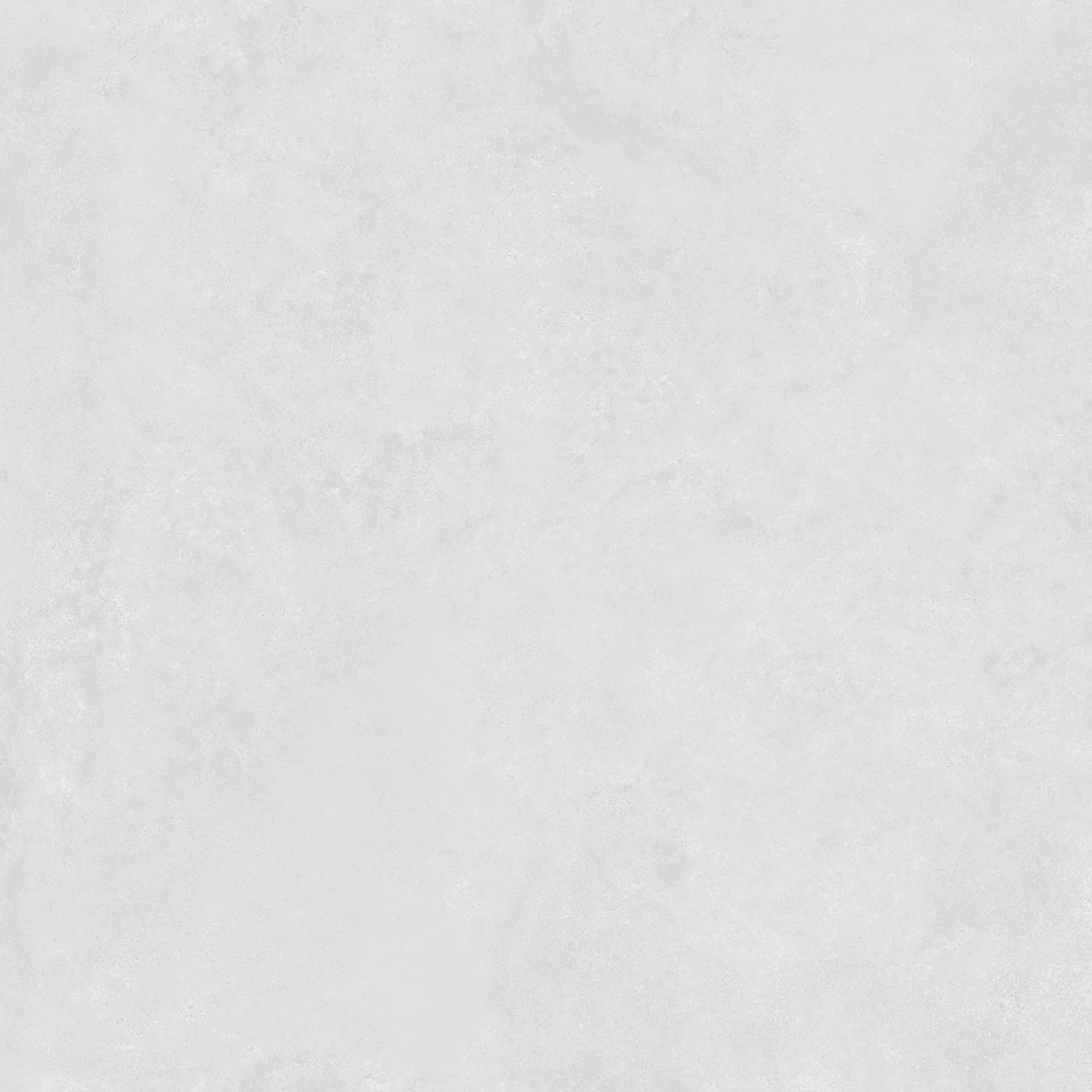Matte Finish BHF Cloudy Coin FT Forever tile 600x600 mm