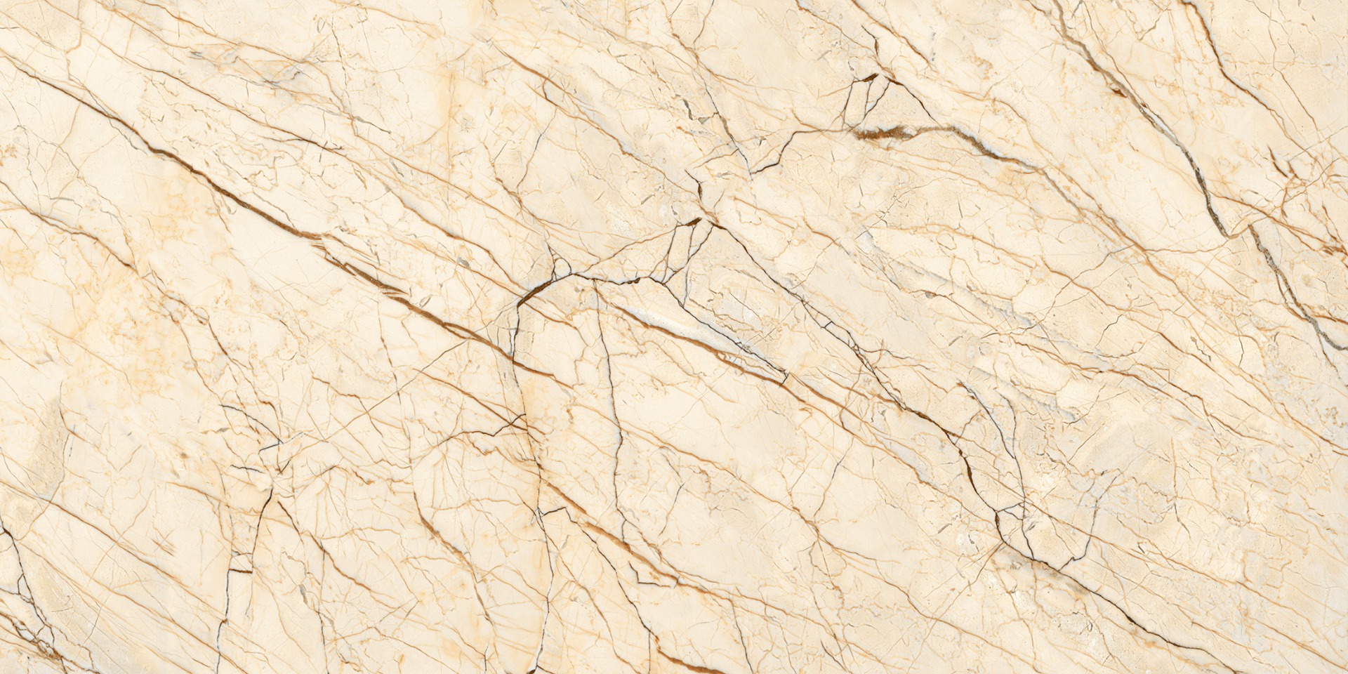 Matte Finish Carving Sofitel Gold Marble Glazed Vitrified Tiles 600x1200 mm