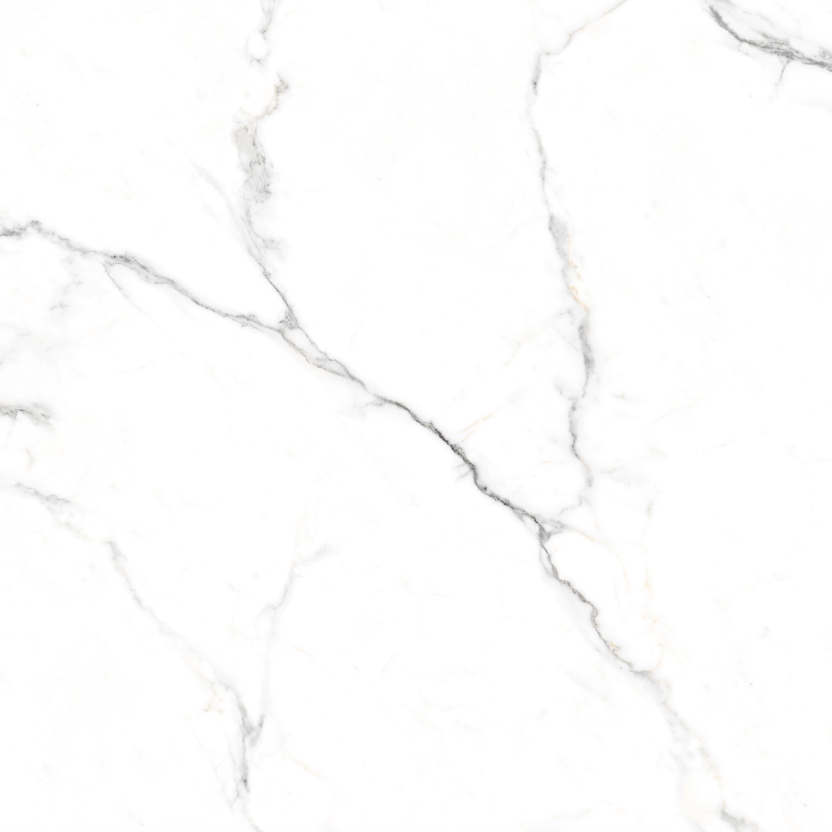 Matte Finish Carving Statuario Marble Glazed Vitrified Tiles 600x600 mm