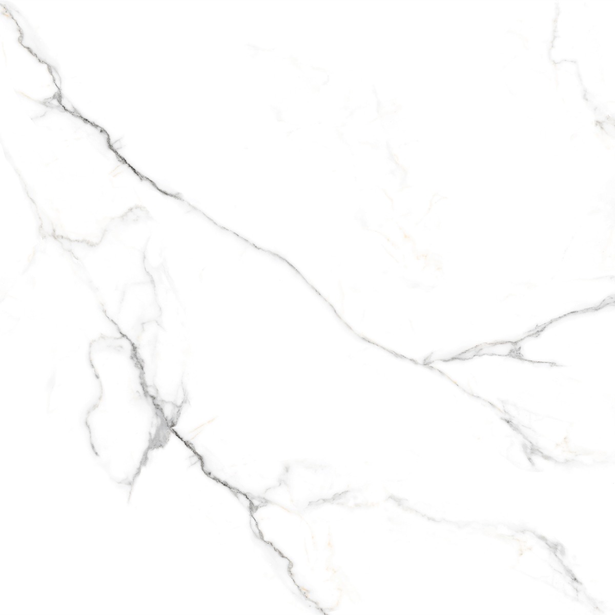 Matte Finish Carving Statuario Marble Glazed Vitrified Tiles 600x600 mm
