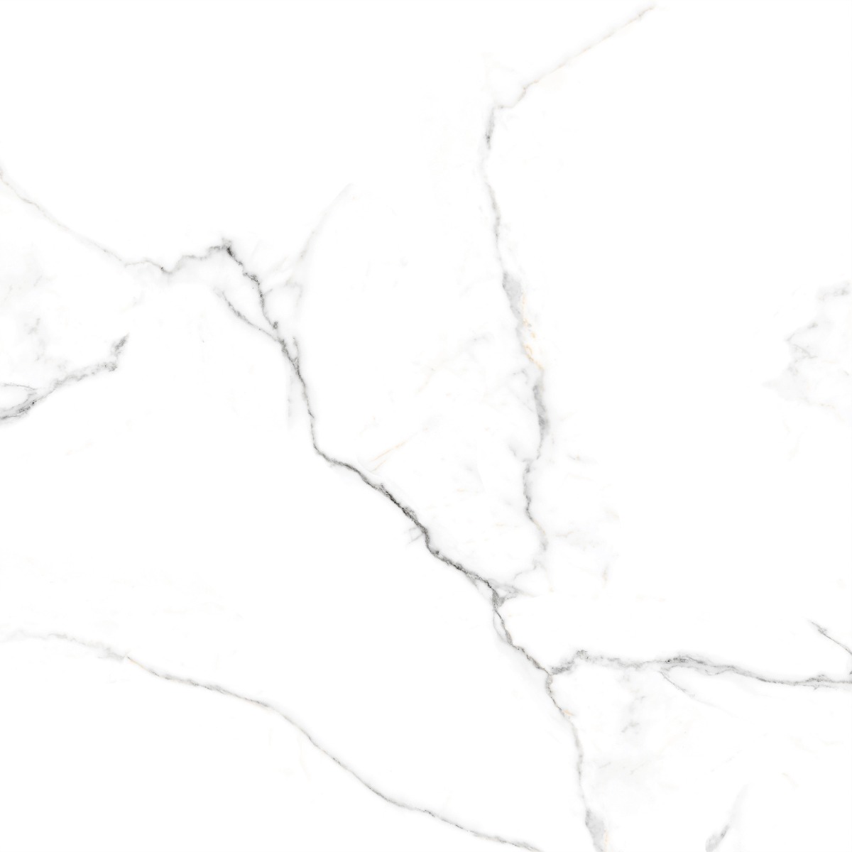 Matte Finish Carving Statuario Marble Glazed Vitrified Tiles 600x600 mm