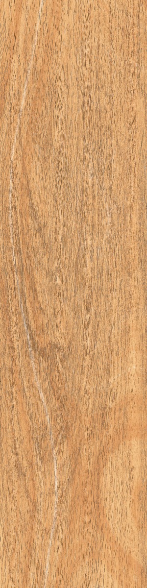 Matte Finish DGVT Arizon Wood Brown Vitrified tile 145x600 mm