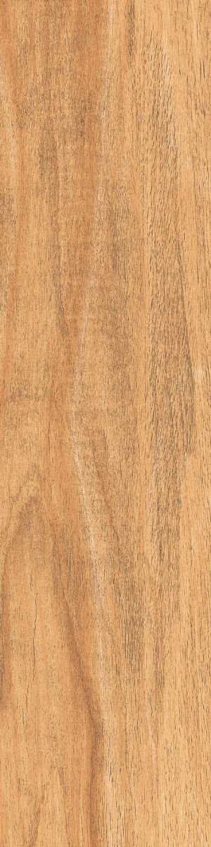 Matte Finish DGVT Arizon Wood Brown Vitrified tile 145x600 mm