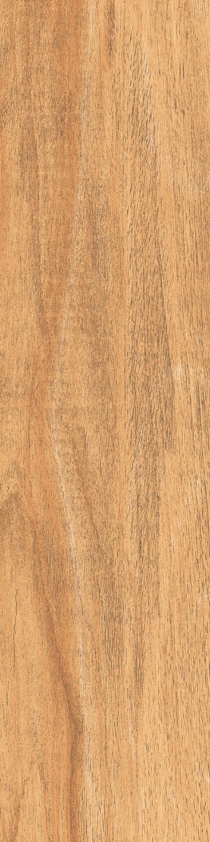 Matte Finish DGVT Arizon Wood Brown Vitrified tile 145x600 mm