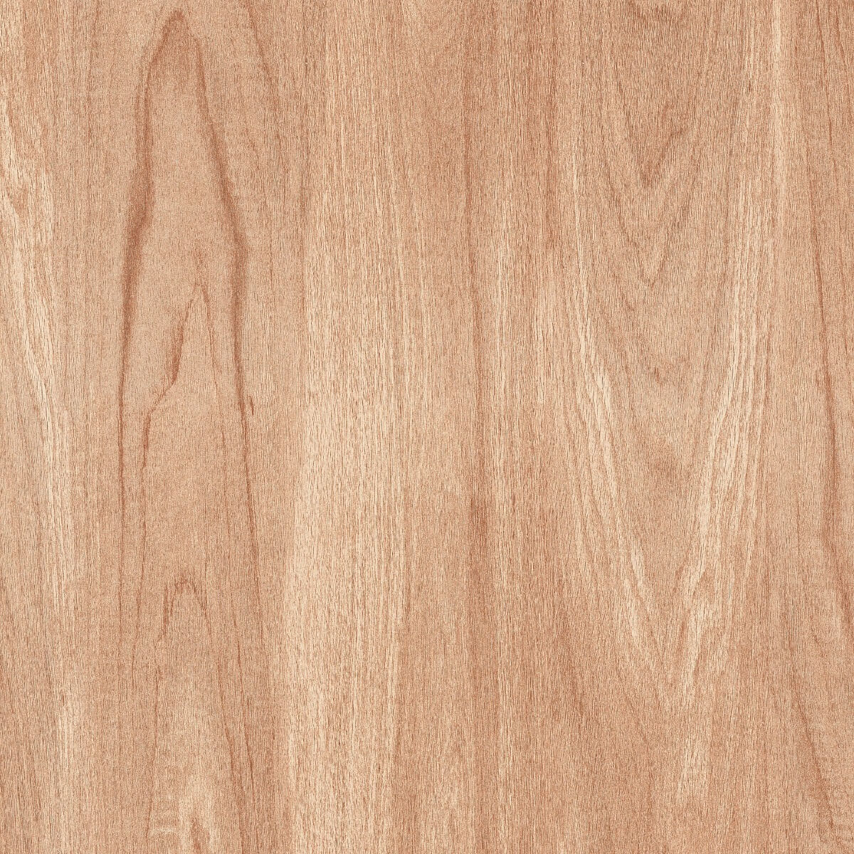 Matte Finish DGVT Cypress Wood Crema Vitrified tile 600x600 mm
