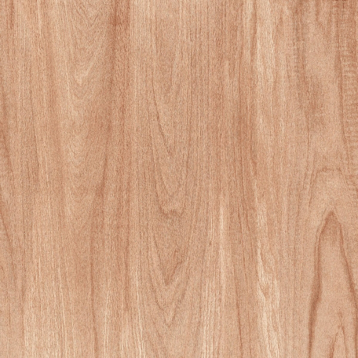 Matte Finish DGVT Cypress Wood Crema Vitrified tile 600x600 mm