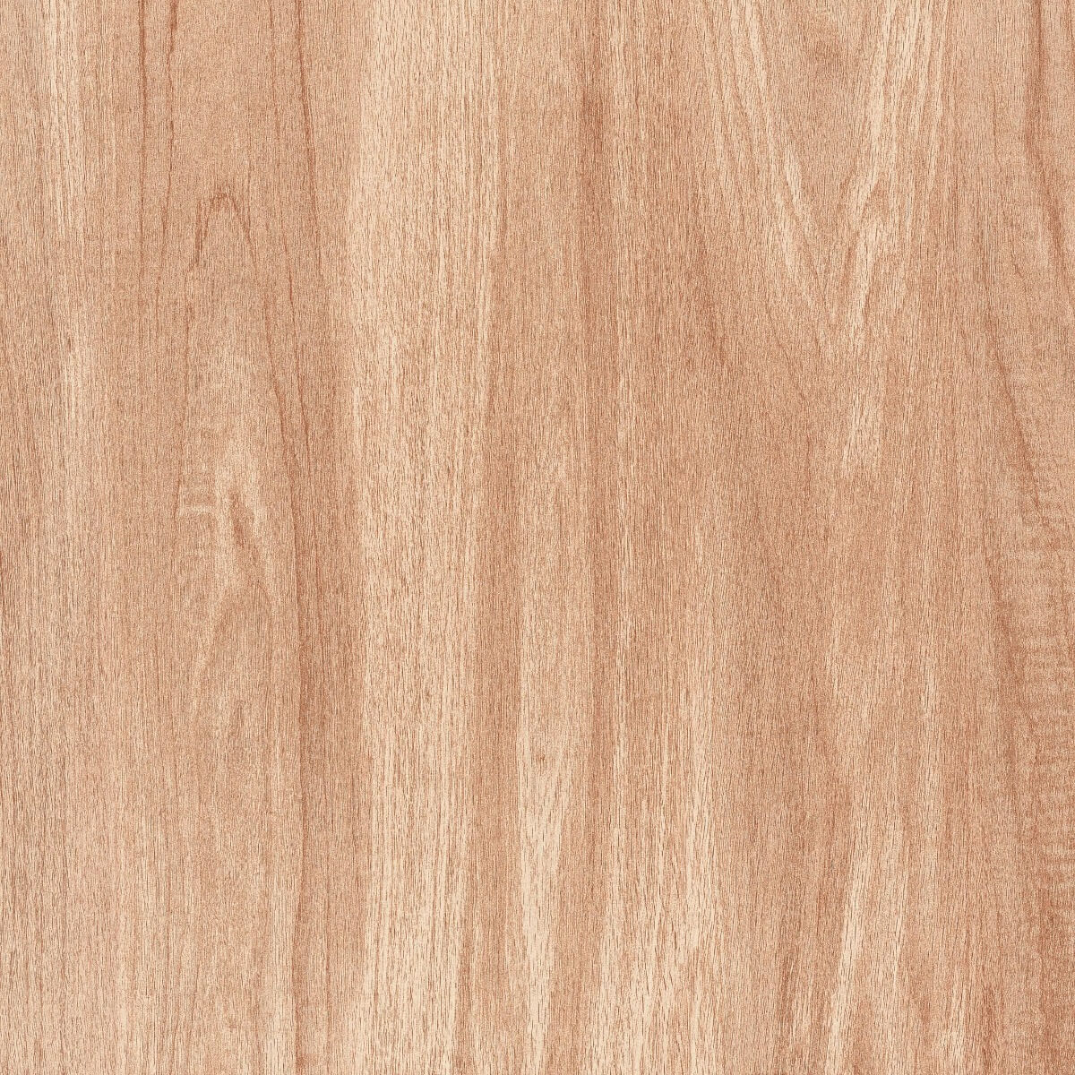 Matte Finish DGVT Cypress Wood Crema Vitrified tile 600x600 mm