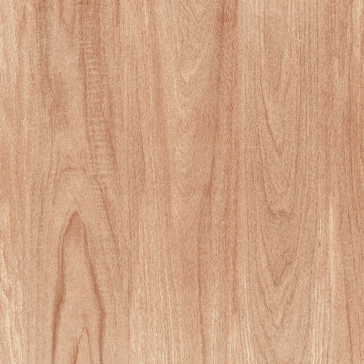 Matte Finish DGVT Cypress Wood Crema Vitrified tile 600x600 mm
