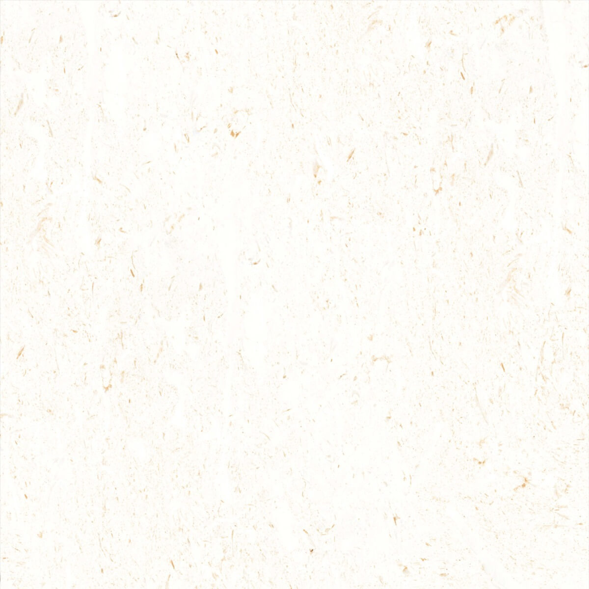 DGVT Genesis Bianco