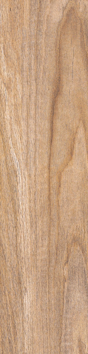 DGVT Poplar Brown