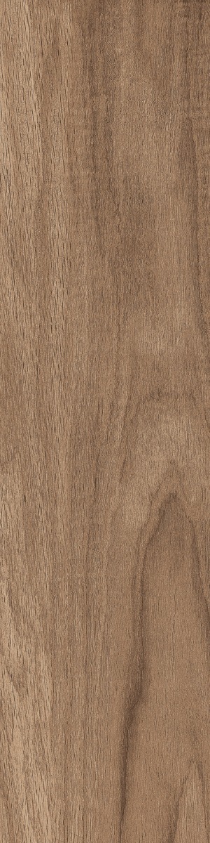 DGVT Poplar Sandune