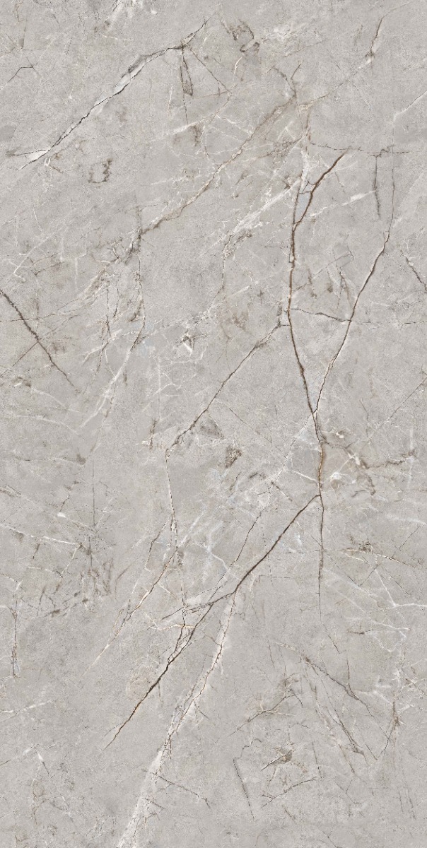 Matte Finish DR Carving Endless Rondline Ash Glazed Vitrified Tiles 600x1200 mm