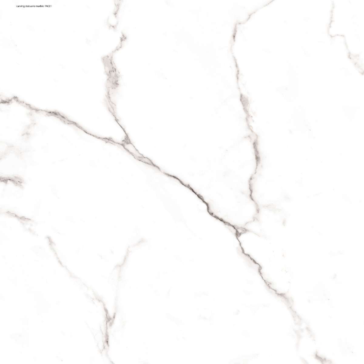 DR Carving Statuario Marble