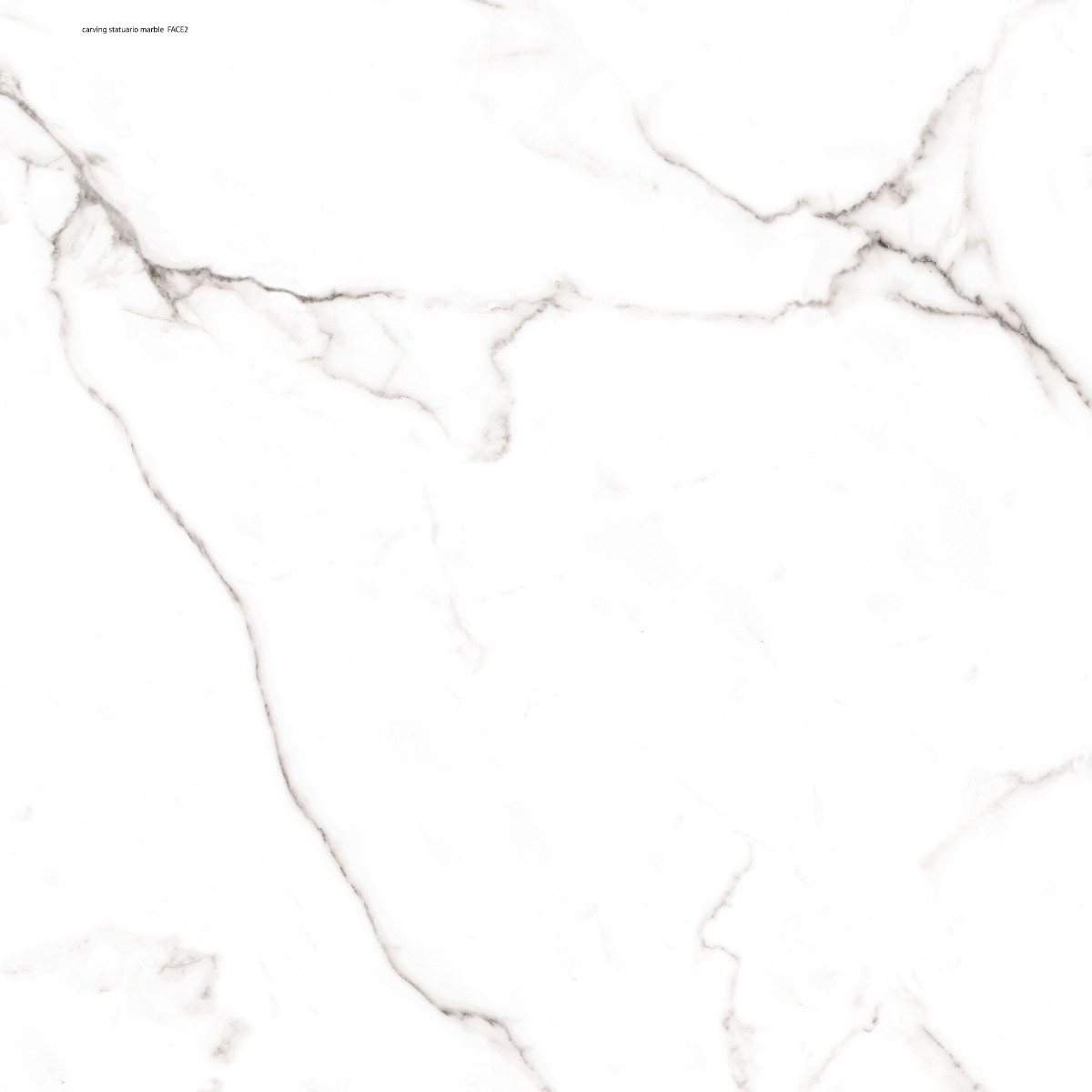 Matte Finish DR Carving Statuario Marble Glazed Vitrified Tiles 600x600 mm