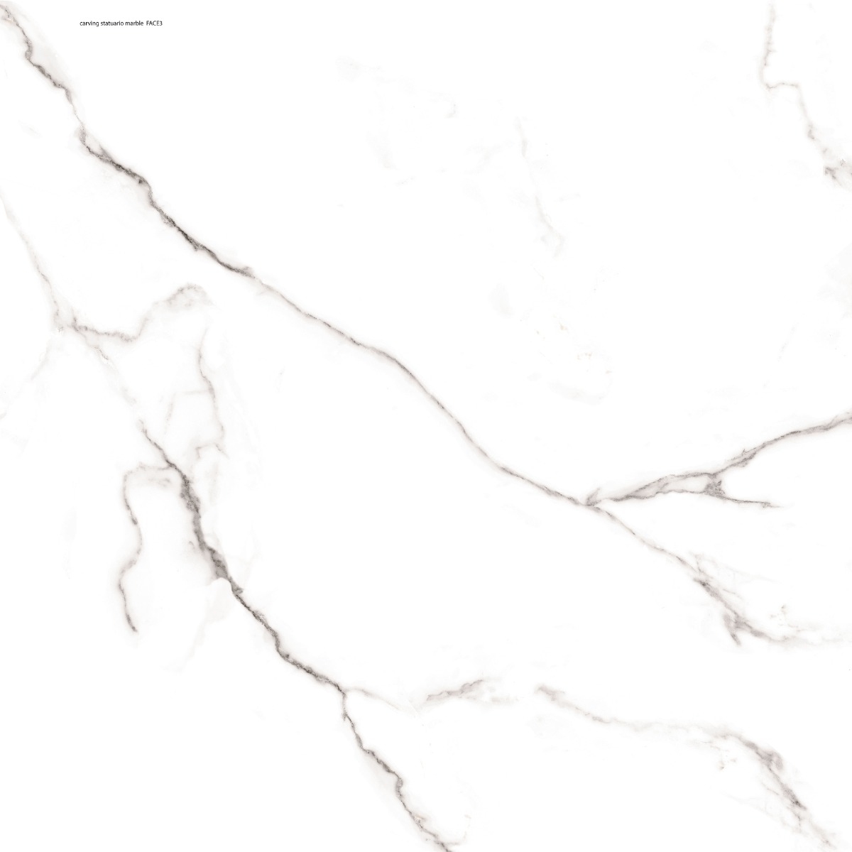 Matte Finish DR Carving Statuario Marble Glazed Vitrified Tiles 600x600 mm