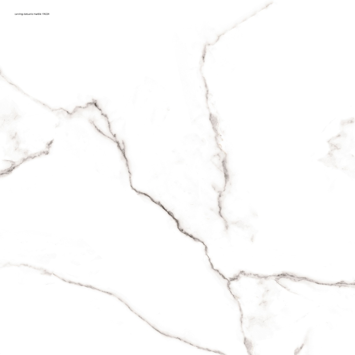 Matte Finish DR Carving Statuario Marble Glazed Vitrified Tiles 600x600 mm