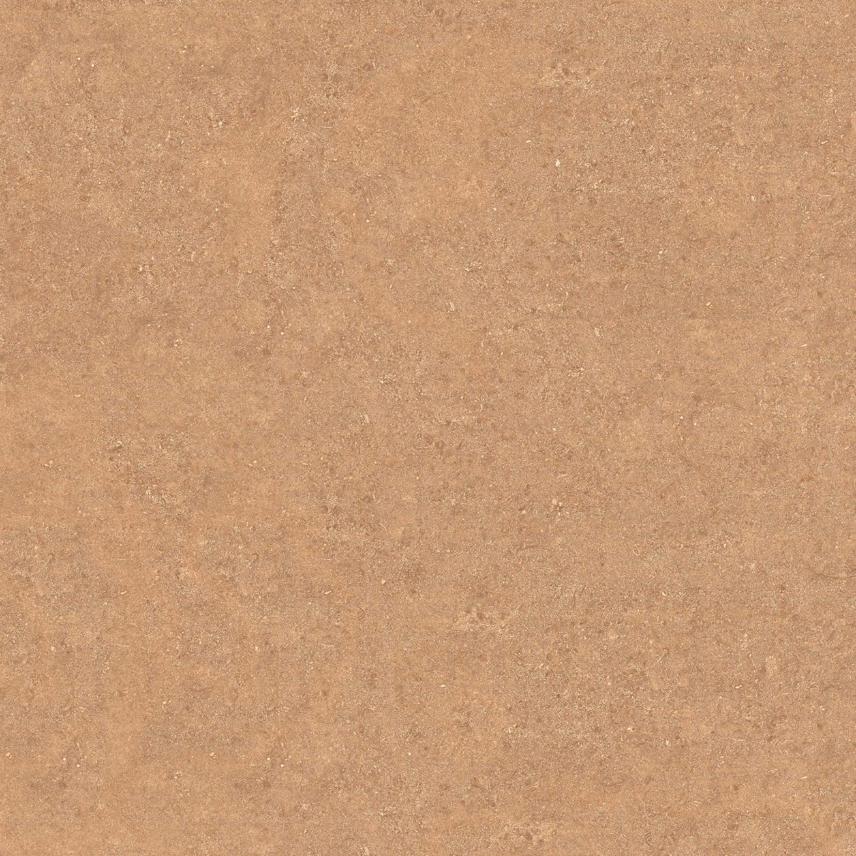Matte Finish DR DGVT Landstone Brown Glazed Vitrified Tiles 600x600 mm