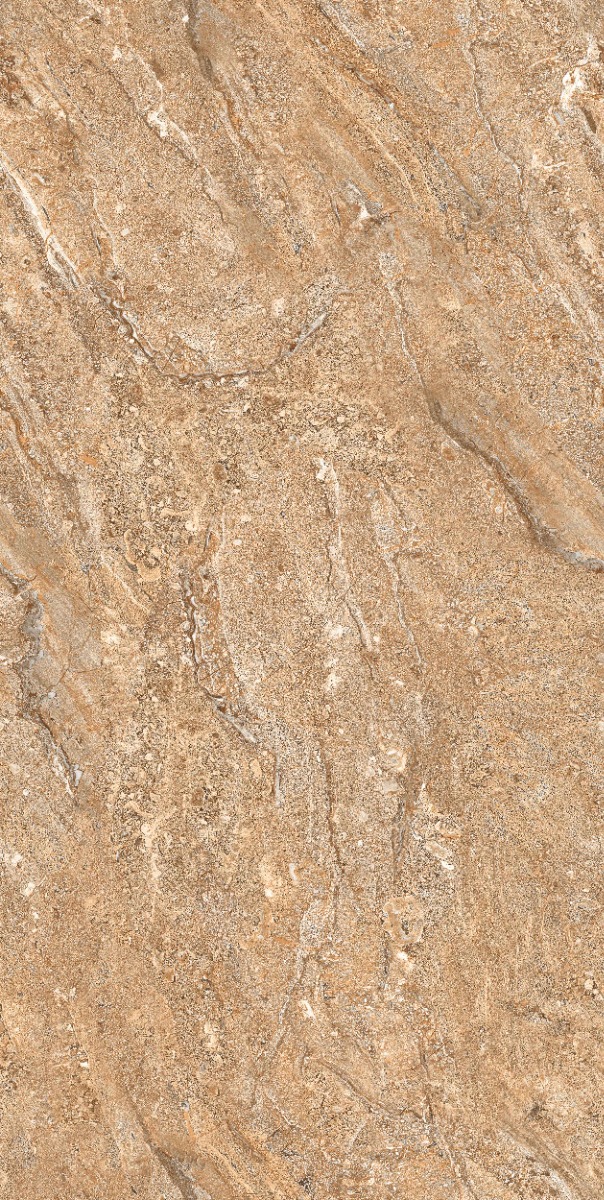 Glossy Finish DR Gloss Endless Royal Dyna Brown Glazed Vitrified Tiles 600x1200 mm