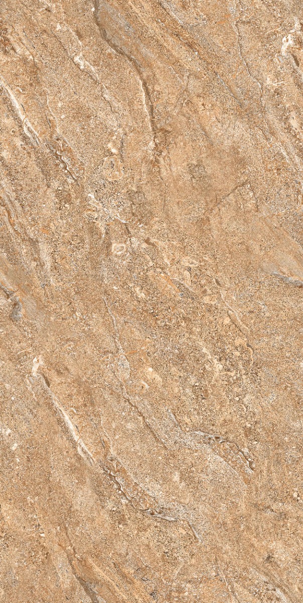 Glossy Finish DR Gloss Endless Royal Dyna Brown Glazed Vitrified Tiles 600x1200 mm