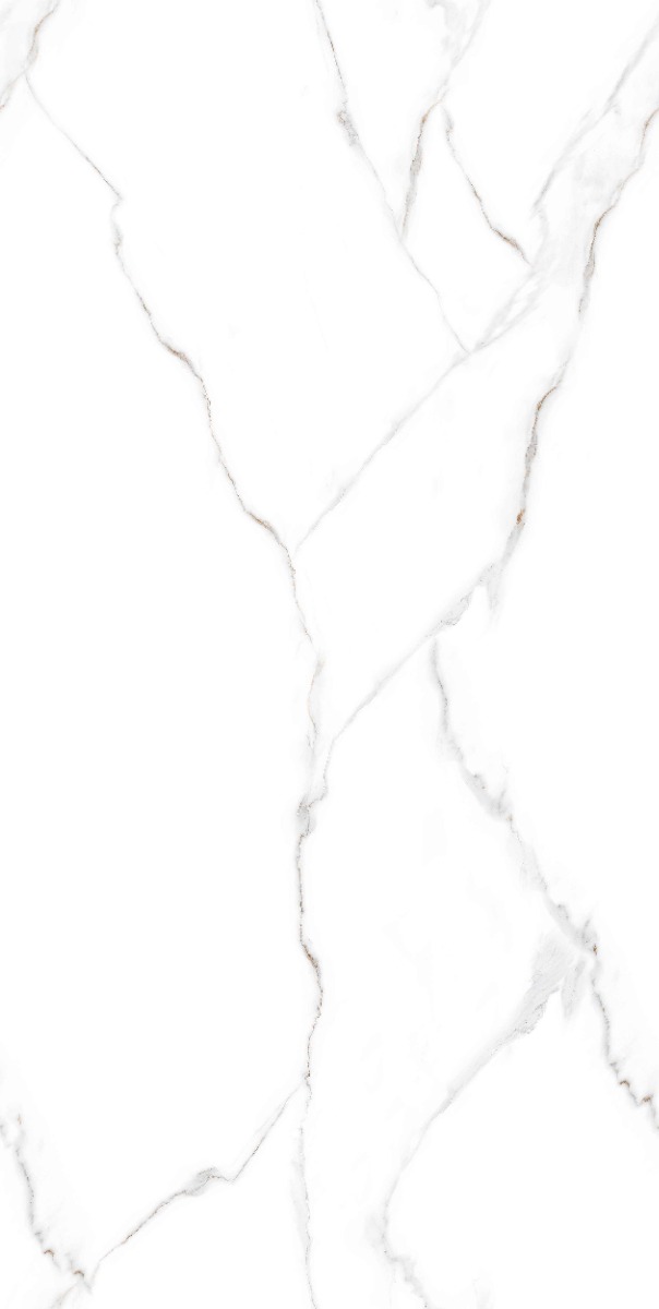 Matte Finish DR Matte Statuario Marmi Marble Glazed Vitrified Tiles 600x1200 mm