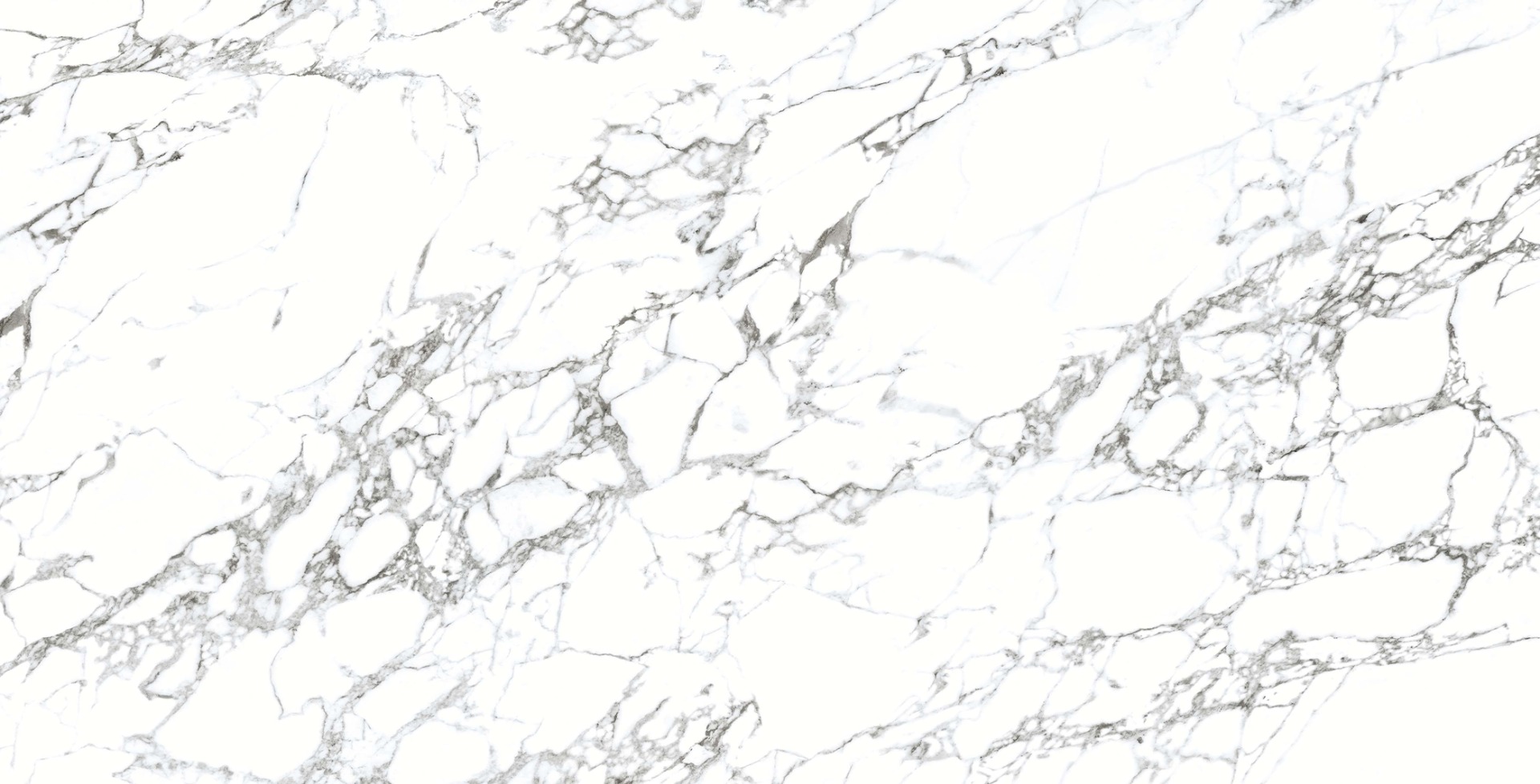 Glossy Finish DR PGVT Arabescato Bianco Glazed Vitrified Tiles 600x1200 mm