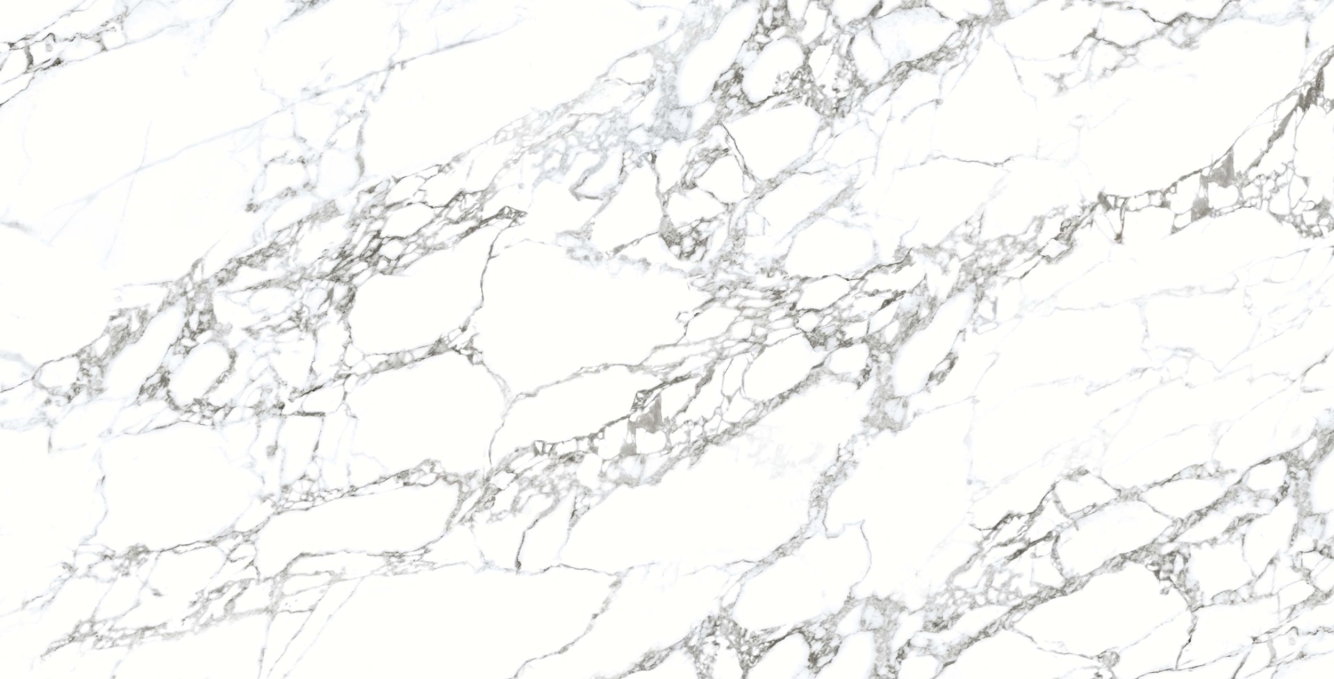 Glossy Finish DR PGVT Arabescato Bianco Glazed Vitrified Tiles 600x1200 mm