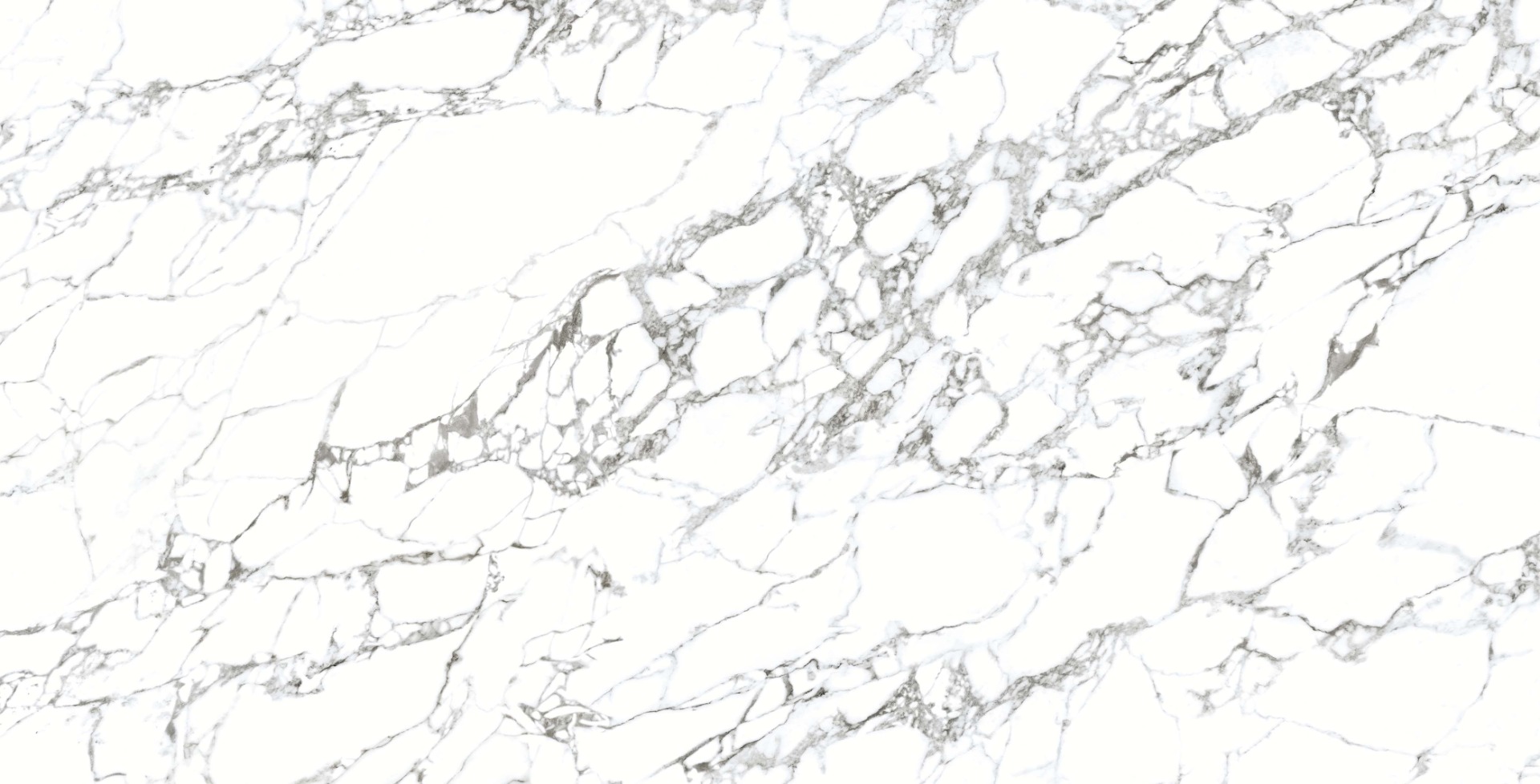 Glossy Finish DR PGVT Arabescato Bianco Glazed Vitrified Tiles 600x1200 mm