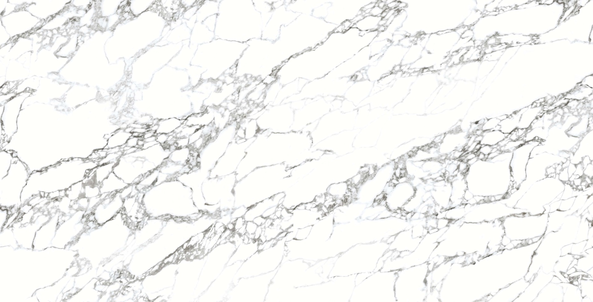 Glossy Finish DR PGVT Arabescato Bianco Glazed Vitrified Tiles 600x1200 mm
