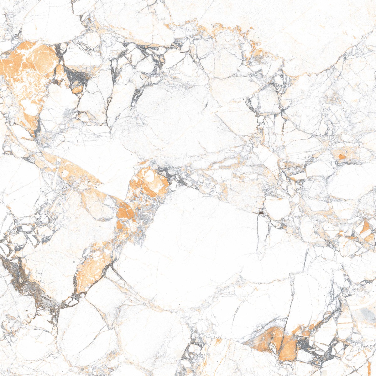 DR PGVT Arabescato Gold Marble