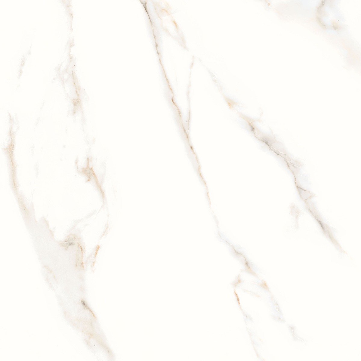 Glossy Finish DR PGVT Makrana Bianco Glazed Vitrified Tiles 600x600 mm