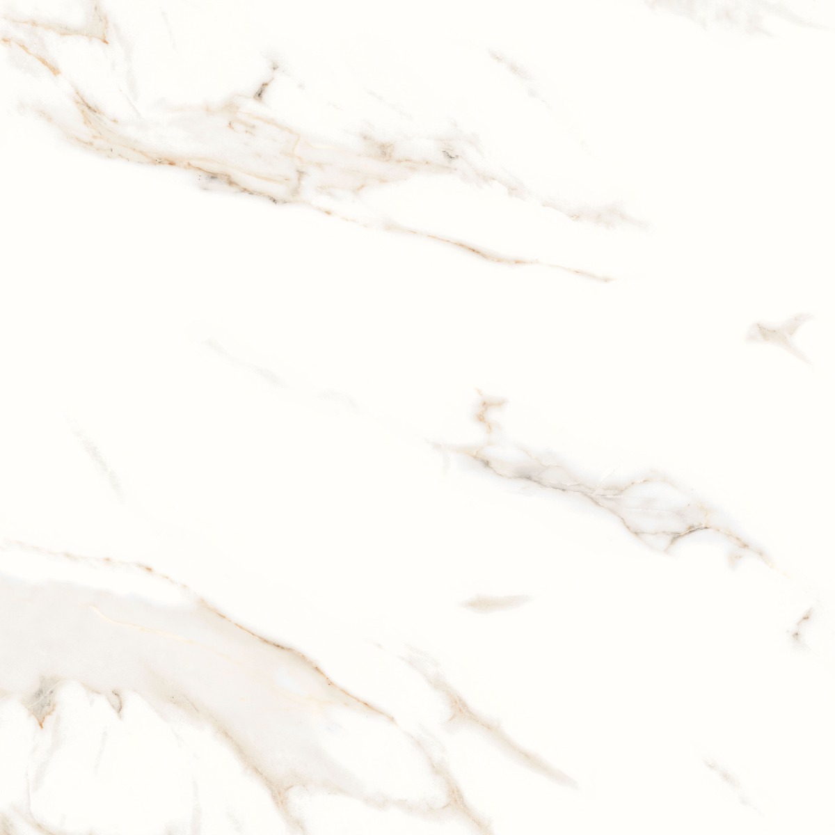 Glossy Finish DR PGVT Makrana Bianco Glazed Vitrified Tiles 600x600 mm