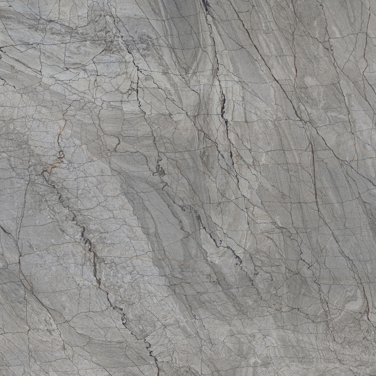 Glossy Finish DR PGVT Spider Marble Grey DK Glazed Vitrified Tiles 600x600 mm