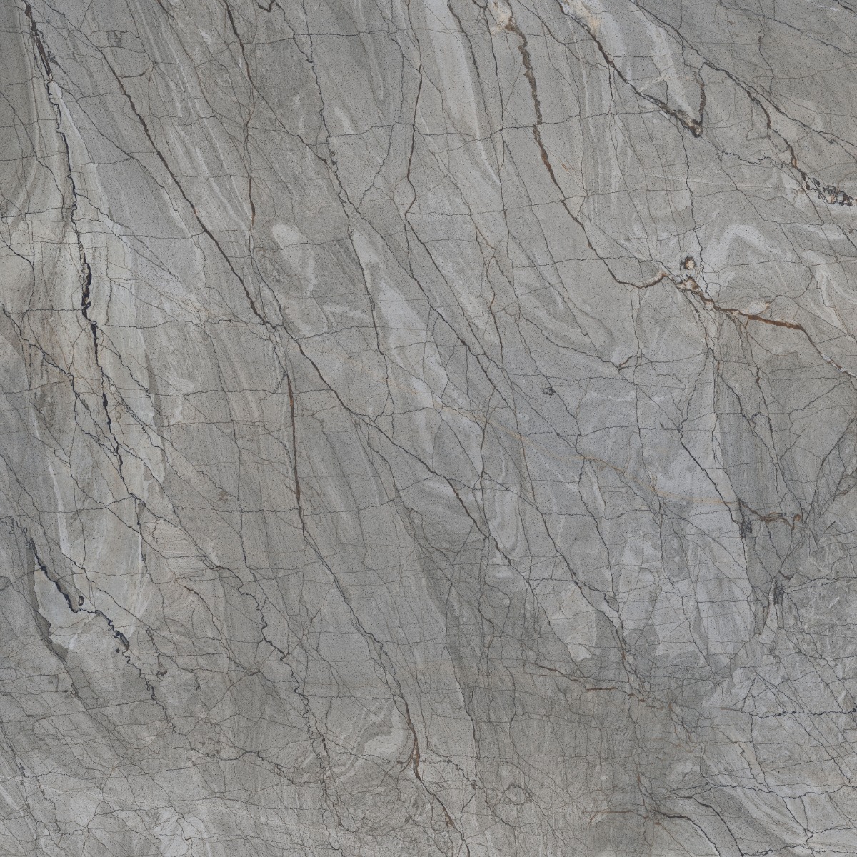 Glossy Finish DR PGVT Spider Marble Grey DK Glazed Vitrified Tiles 600x600 mm