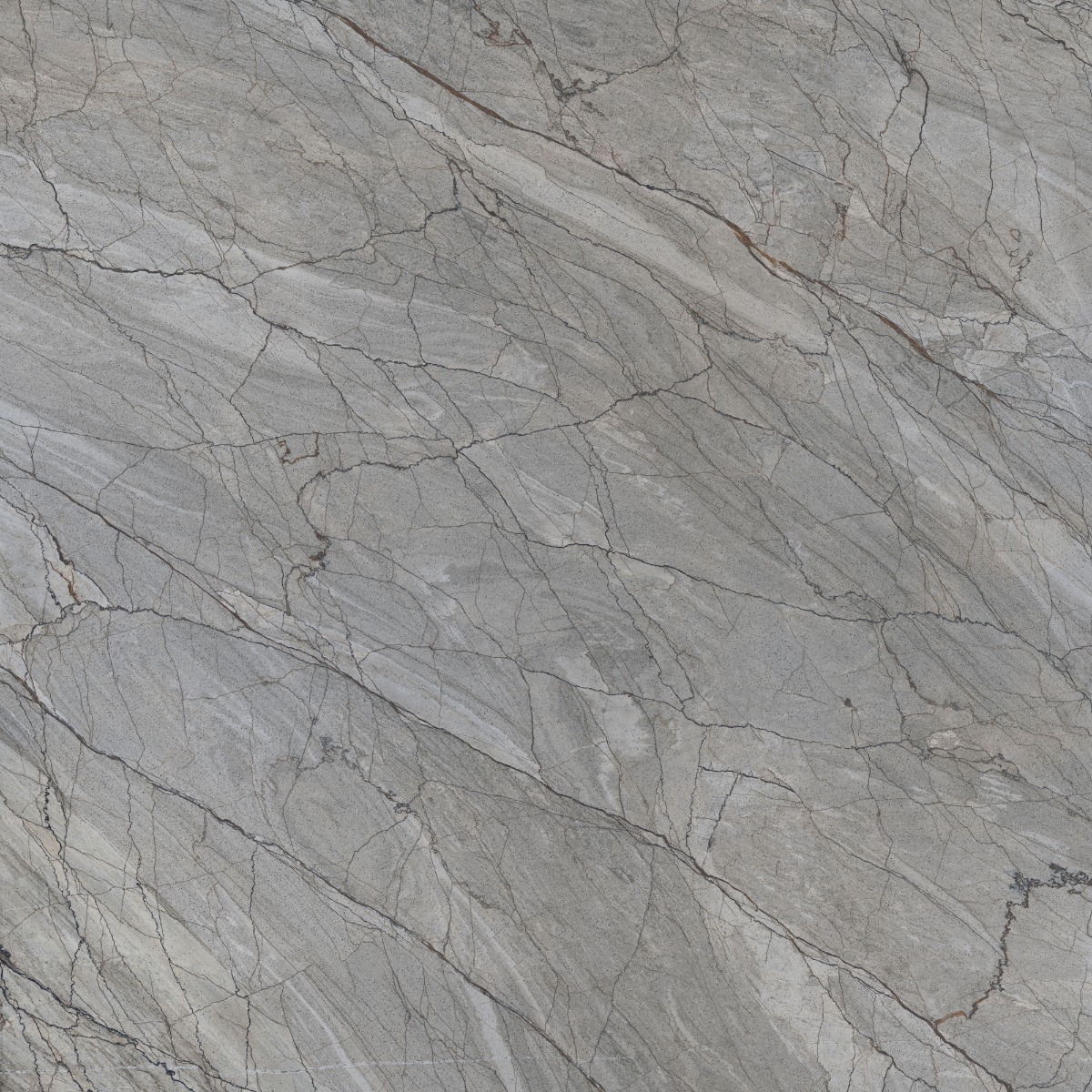Glossy Finish DR PGVT Spider Marble Grey DK Glazed Vitrified Tiles 600x600 mm