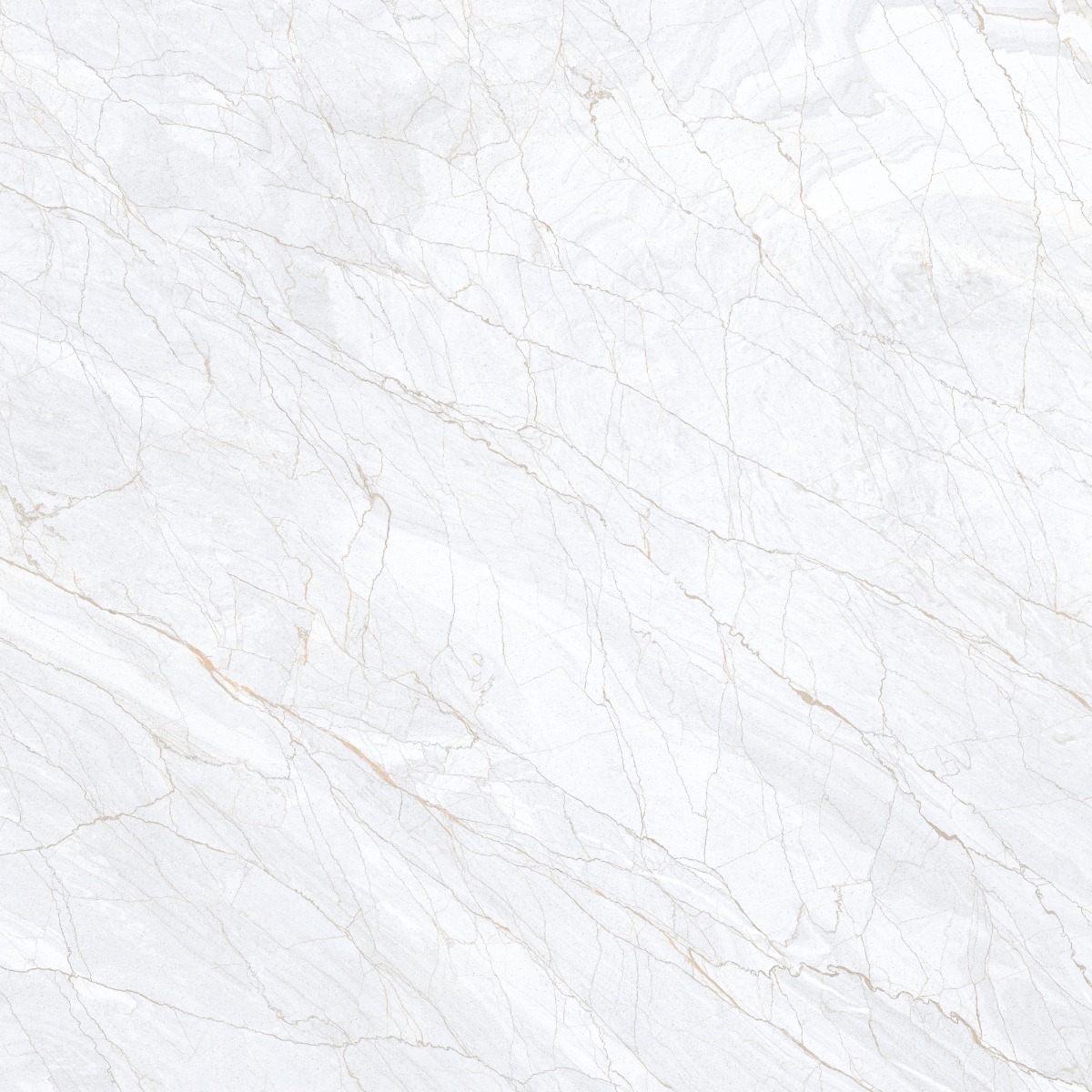 DR PGVT Spider Marble Grey LT
