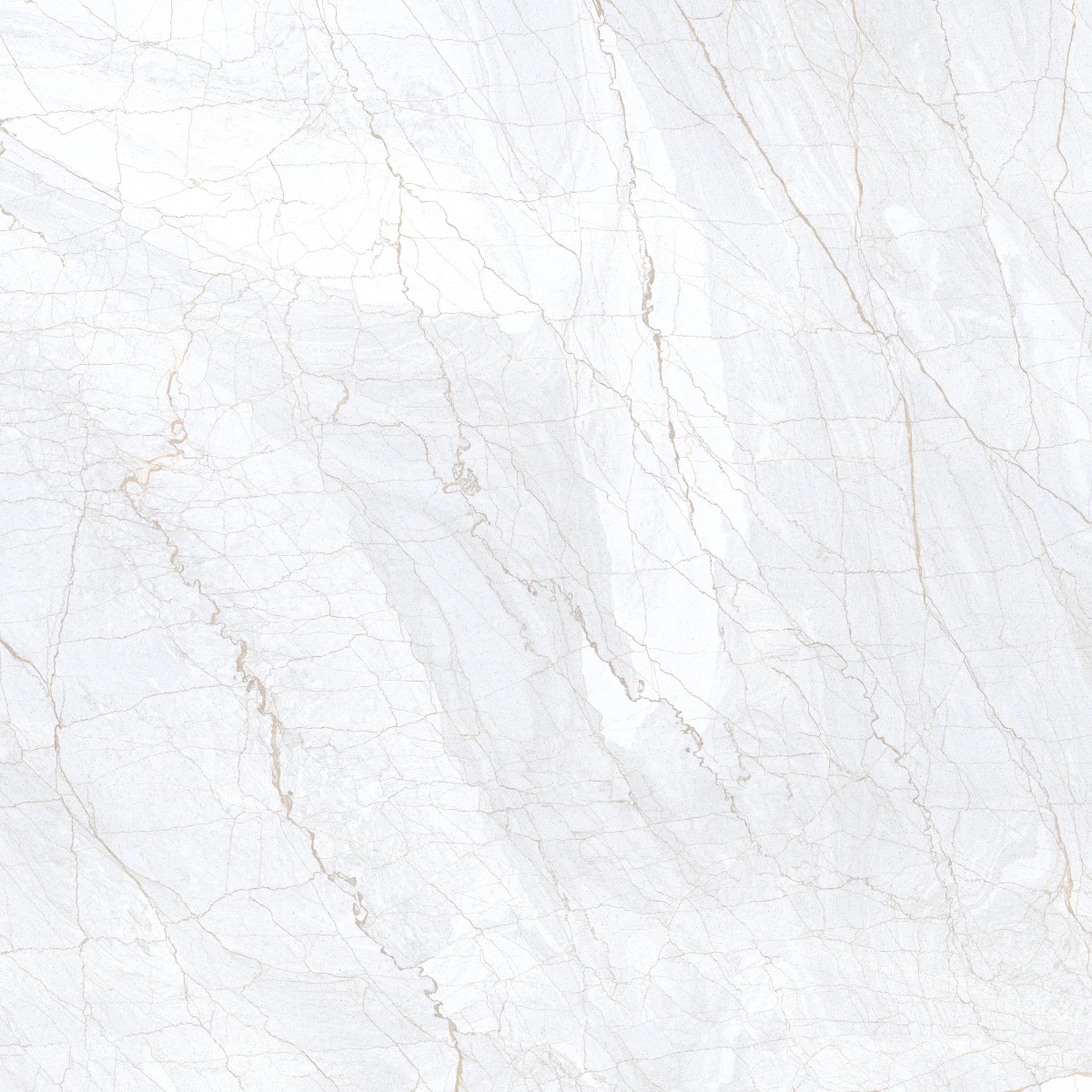 Glossy Finish DR PGVT Spider Marble Grey LT Glazed Vitrified Tiles 600x600 mm