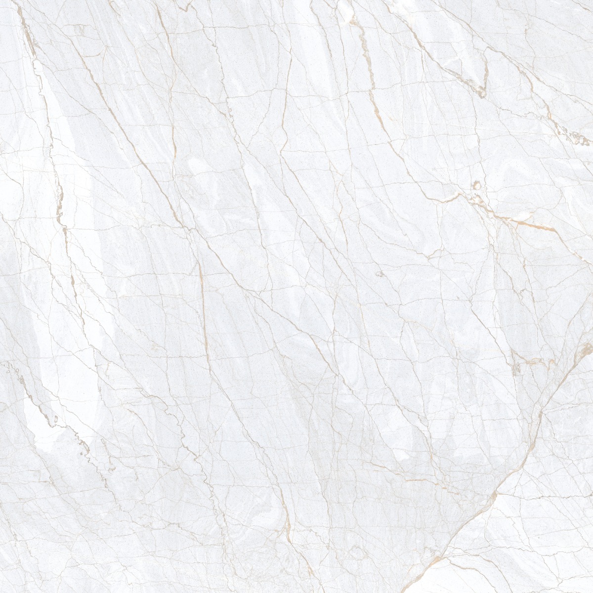 Glossy Finish DR PGVT Spider Marble Grey LT Glazed Vitrified Tiles 600x600 mm