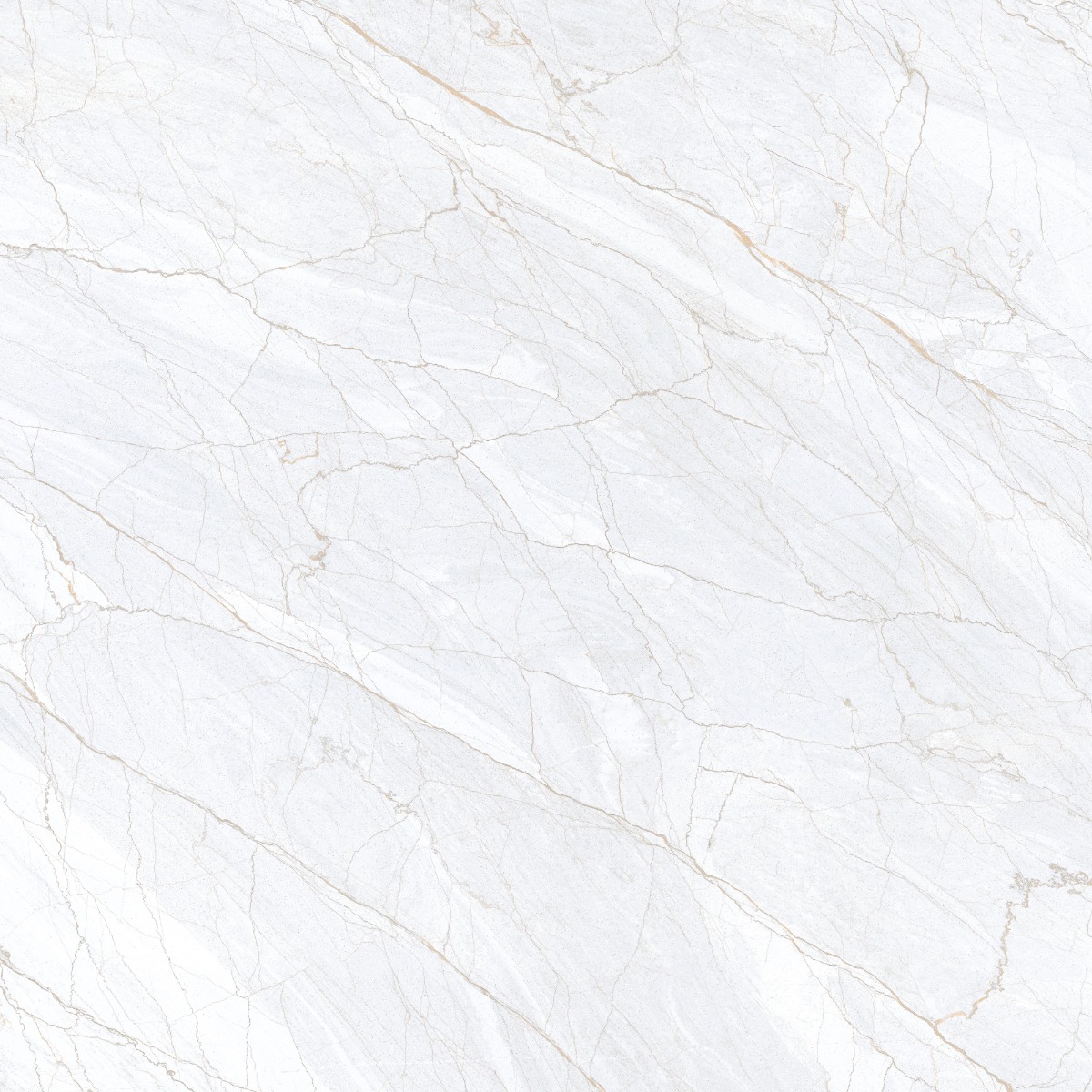 Glossy Finish DR PGVT Spider Marble Grey LT Glazed Vitrified Tiles 600x600 mm