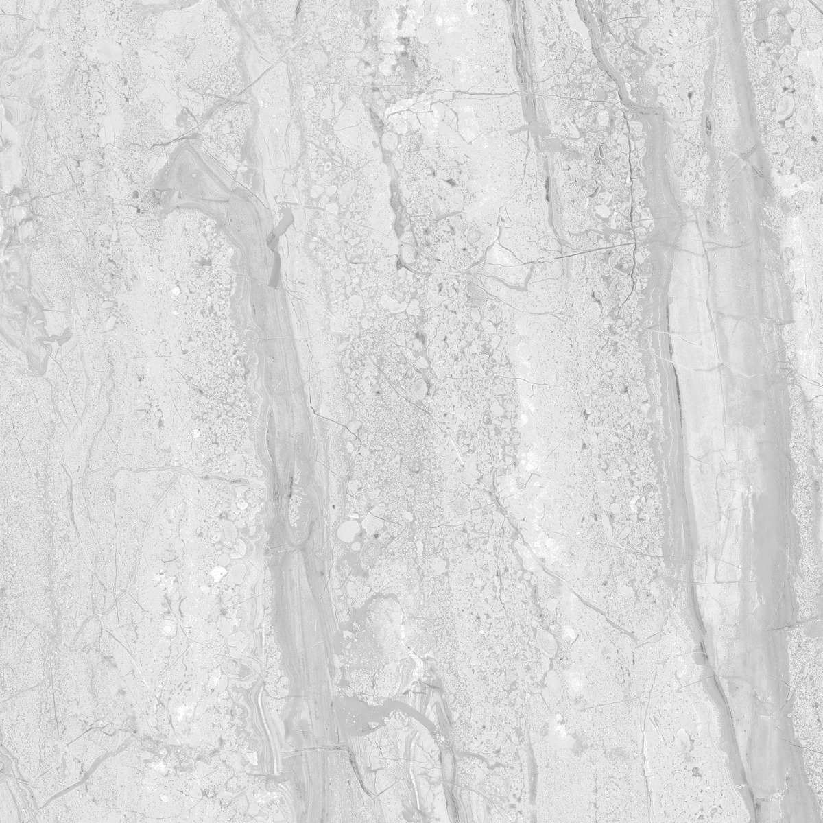 Matte Finish GFT BDF Royal Dyna Grey FT Ceramic tile 600x600 mm