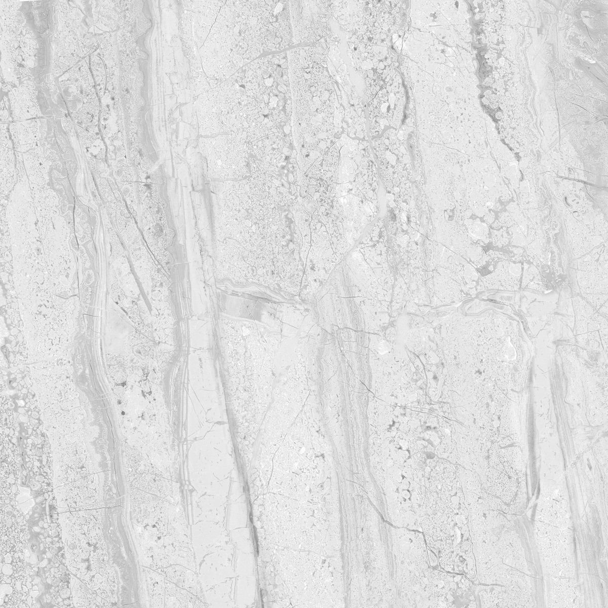 Matte Finish GFT BDF Royal Dyna Grey FT Ceramic tile 600x600 mm