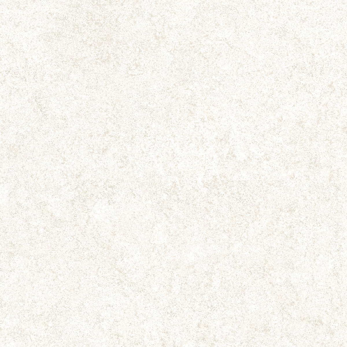 GFT BHF Rustic Silver